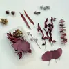 Paquete de Materiales Hechos a Mano para Bricolaje Flores Mixtas Plantas Flores Secas Piñas de Navidad Estilo Bosque para Jardín de Infancia Creación Ambiental Decoración