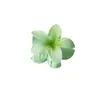 Pinza de Tiburón para el Cabello con Flor de Plumeria y Flor de Bauhinia, Estilo Vacacional para la Parte Trasera de la Cabeza de Mujer, Accesorio para el Cabello