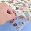 Molde de Resina de Cristal DIY de Amapola, Pegatinas de Materiales de Flores Variadas, Materiales de Resina, Rellenos de Resina, Impresión