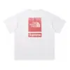 Camiseta Original Nt North Face de 260g para Hombre, Camisa Casual Versátil de Manga Corta con Estampado de Moda para Pareja