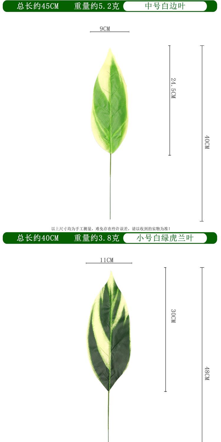 白玉虎兰叶单支_04.jpg
