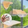 Entorno Transfronterizo Ecológico 85mm Ventosa Grande Accesorios para Nido de Gato Estructura de Escalada para Gatos PVC Transparente Material Ecológico Tornillo Tornillo Ventosa