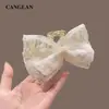 Estilo Primavera e Verão Elegante Presilha de Garra de Renda com Laço de Fita para Cabelo para Mulheres Parte de Trás da Cabeça Presilha de Tubarão Elegante de Alta Classe