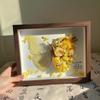 Kit Completo de Materiales para Marco de Fotos con Flores Secas de Cristal y Mariposas Hecho a Mano para Enviar Regalos Creativos de Cumpleaños a Amigos Hombres y Mujeres