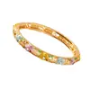 Nuevo Pulsera de Rosa Hueca Esmaltada Estilo Chino, Pulsera Vintage Artesanía Cloisonné, Suministro de Fábrica en Stock