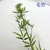 Bambú Artificial al por Mayor para Decoración de Sala de Estar y Hotel, Paneles Divisorios, Bambú Falso, Macetas de Madera Maciza, Plantas Verdes Anticorrosión, Alta Simulación