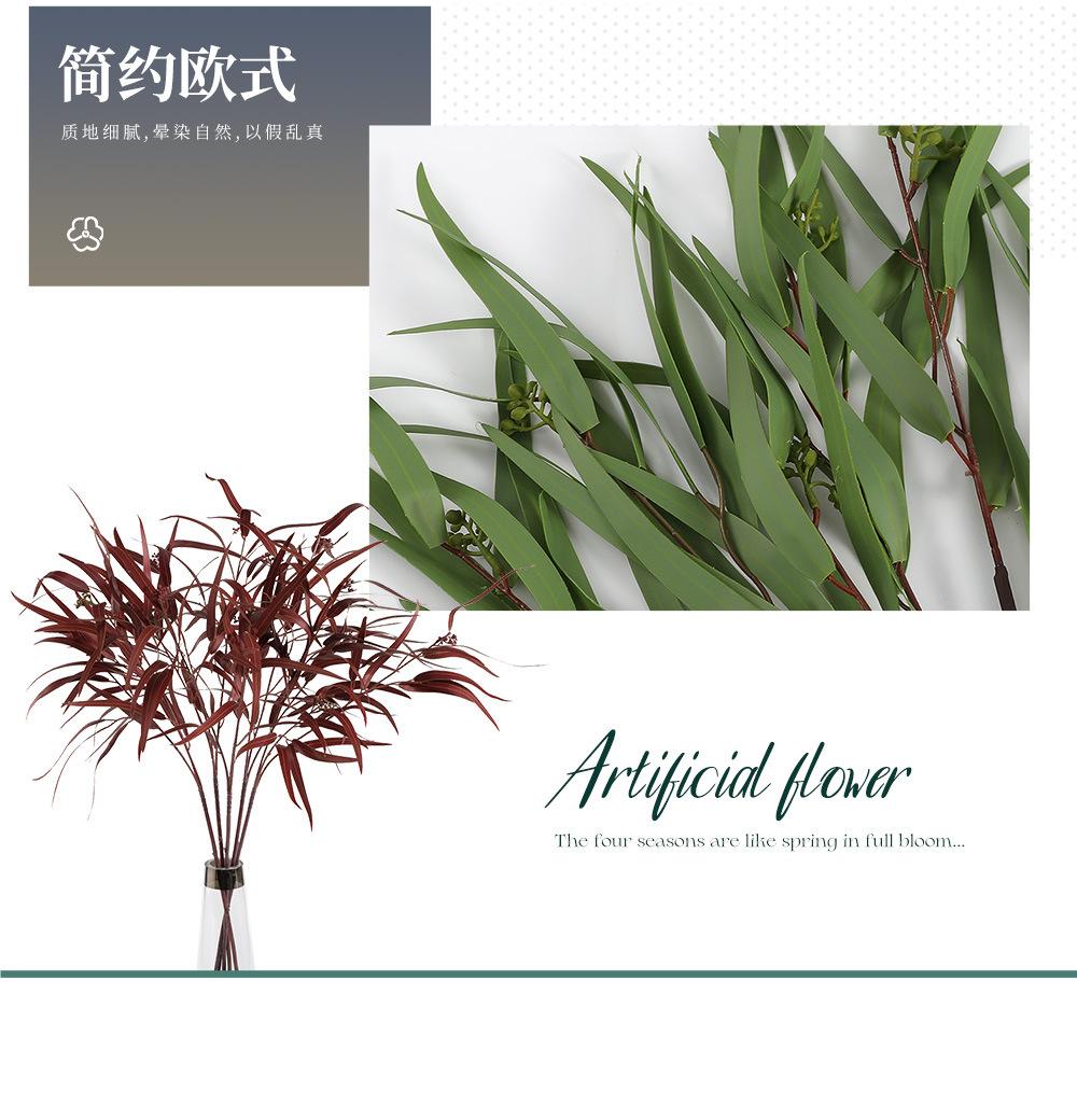 仿真3叉柳叶尤加利-7.21_04.jpg