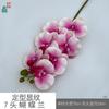 Padrão de modelagem 7 cabeça Phalaenopsis cola sentir Phalaenopsis estúdio fotográfico adereços flor de simulação janela bonita Chen