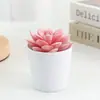 Planta Suculenta en Maceta de Pulpa Flocada, Maceta Decorativa para el Hogar y el Escritorio, Adornos Florales para Oficina, Plantas de Pulpa Transfronterizas