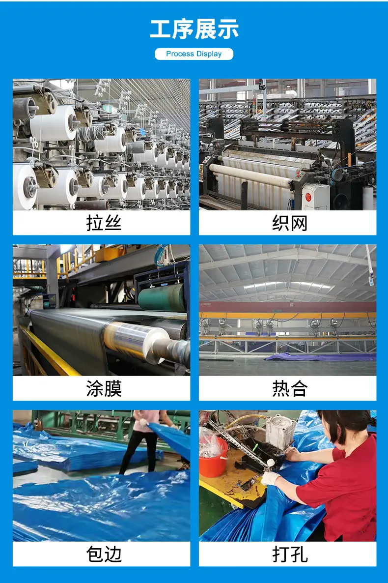 蓝桔_13.jpg