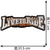 Promoção Quente Grande Marca da Moda Águia Bordada Adesivo de Tecido Roupas Jaqueta de Couro Jaqueta de Penas Patch Alugado Aplique Decorativo