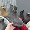 Botas de tornozelo estilo retrô, bico redondo, sola grossa para mulheres, botas marrons outono/inverno, botas de montaria versáteis em camurça, novo estilo 2026 botas Martin