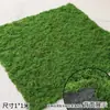 Paisajismo con Musgo, Musgo Artificial, Césped de Hilo, Plantas Verdes, Decoración de Plantas para Micro-Paisajismo, Fondo de Césped Artificial Biomiético, Decoración de Bodas