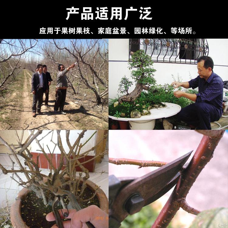 果枝剪应用