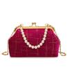 Bolso de Hombro Bolso de Trama Bolso Grande Moda Elegante Estilo Japonés y Coreano Bolso Pequeño 2025 Nuevo Bolso Bandolera de Moda Bolso Casual