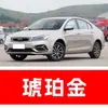 78. Plumón de pintura para retoque de coche Geely Emgrand, disponible en Gris Lluvia Ahumada, Azul Sombra Lunar, Blanco Perla, Azul Glaciar y Negro Perla, para reparación de rayones