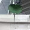 Loto artificial, hoja de loto, loto flotante para dormir, loto, Buda, accesorios de danza, pecera, estanque, paisaje, loto falso