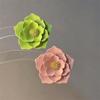 Brincos de flores coloridas foscas europeias e americanas, brincos de flores de pétalas multicamadas em estilo Mori japonês e coreano, brincos elegantes
