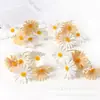 Grampo de cabelo de florzinha margarida artificial de 5 pétalas, decoração de casamento em cores de outono, acessórios de material DIY para guirlanda de cabeça, flores
