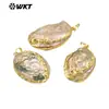 WT-JP393 Único Brillante Reflectante Concha de Abulón Natural Colgante Caliente Hecho a Mano Accesorios DIY