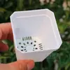 Vasos Quadrados com Bordas Retas para Mudas de Suculentas, Vasos de Flores com Base Espessada para E-commerce Transfronteiriço, Vasos Quadrados Pretos e Brancos para Plantas em Vasos