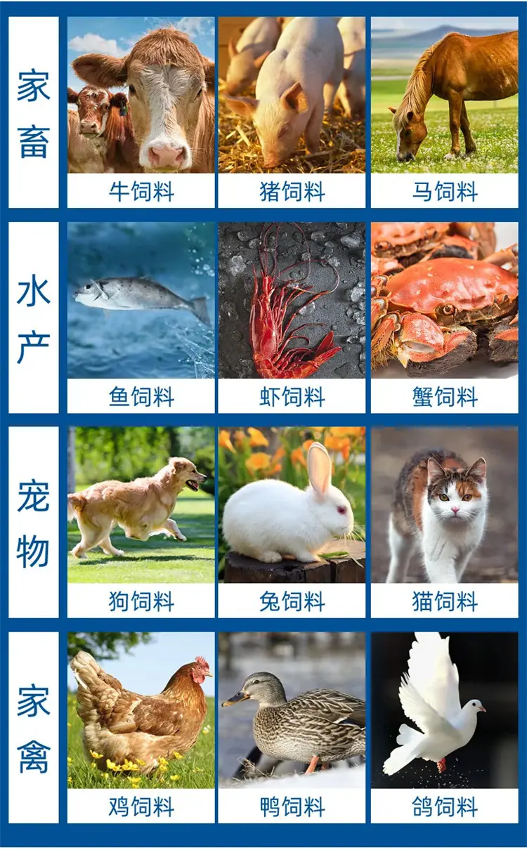 颗粒机6666.jpg
