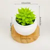 Adornos de plantas suculentas artificiales mini verdes para fábrica transfronteriza para sala de estar, plantas de interior en maceta, escritorio para el hogar y la oficina