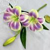 Novo Transfronteiriço Flor Artificial Lírio Hemerocallis Conjunto de Casamento Sensação 3D Material Flor Decorativa Fotografia Flor Falsa Atacado