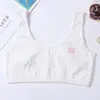 Ropa interior nueva para niñas de primavera y verano, período de desarrollo, chaleco deportivo para estudiantes sin aros, algodón, cómodo, top tipo tubo
