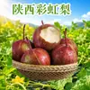Pera Arco-Íris Rara de Shaanxi, envio direto 3/5/ 4,5kg fruta grande com casca fina e polpa suculenta, pera fresca da estação, fruta fresca