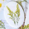 Flor Oriole com Galhos Flor Real Espécime Em Relevo Divisória Flor Seca Marcador Cartão de Felicitações Material Artesanal para Crianças Plantas Flores e Plantas