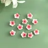 Pequeño accesorio de flor de cinco pétalos perforada hecho de material acrílico para aretes DIY, clips para orejas, pulseras, abalorios y materiales de pintura decorativa