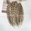 Ninho de galinha direto da fábrica pena de ninho de frango pena de ninho de faisão macho pena de ninho de faisão natural faisão DIY decoração de pena colorida