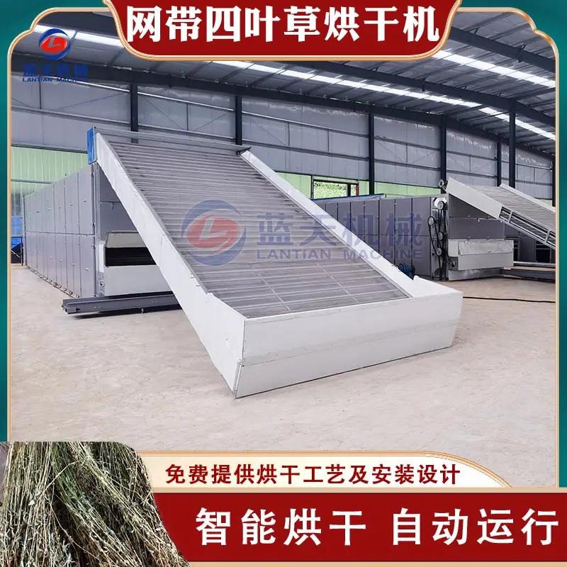 阿里.jpg