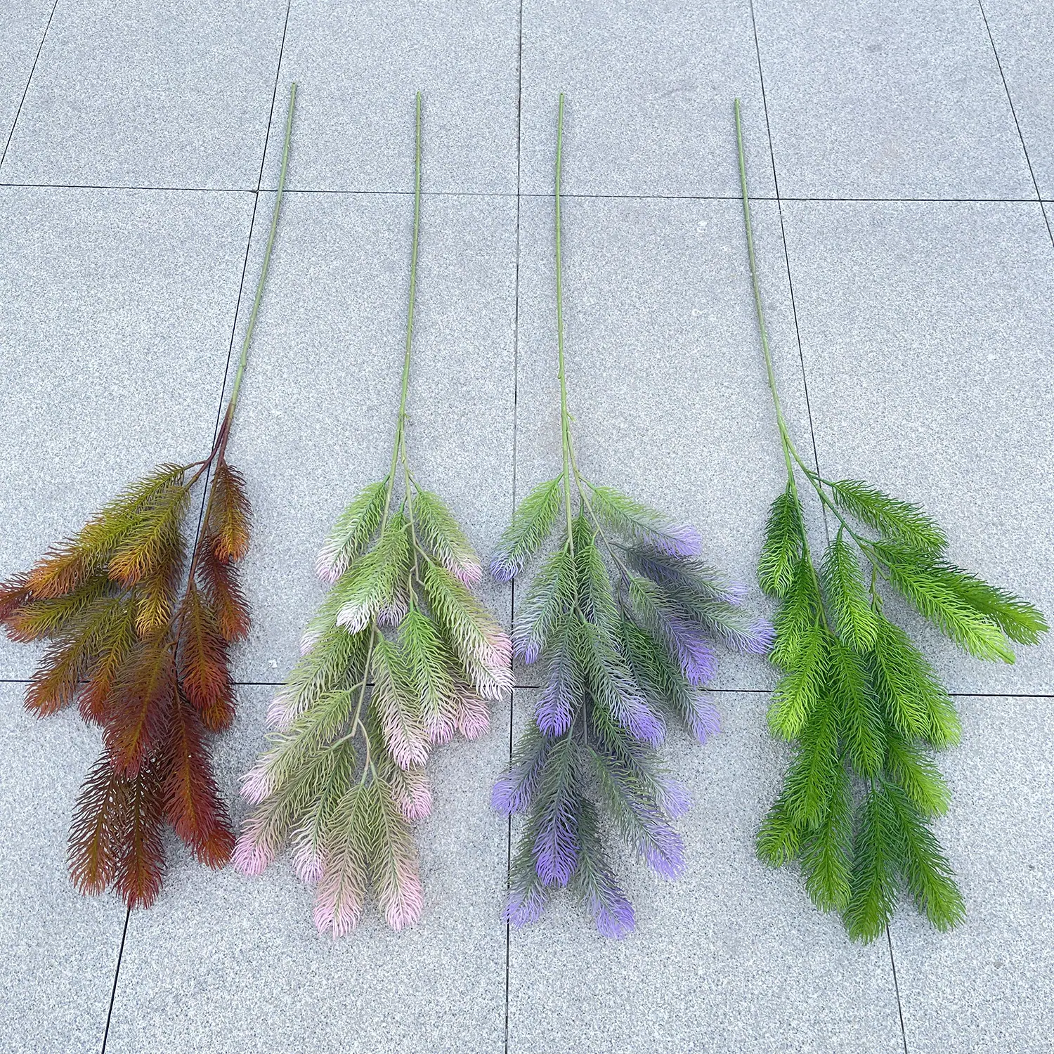 2叉心运兔尾草 色卡 3.8元.JPG