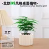 Las plantas en maceta son fáciles de cuidar en las salas de estar interiores.; plantas verdes hidropónicas, bonsáis creativos, plantas de la suerte, plantas pequeñas en maceta y árboles de la fortuna son todas excelentes opciones