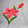 DIY Buquê Trançado Feito à Mão Varetas Torcidas de Lã Pacote de Material de Lírio Tulipa Cores Macaron Construção de Equipe para Jardim de Infância