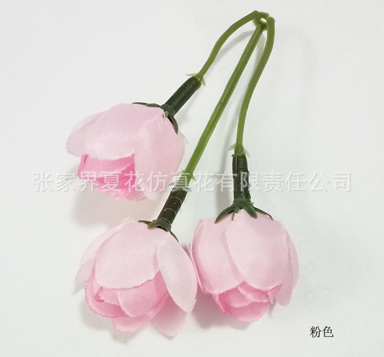 详情粉色.jpg