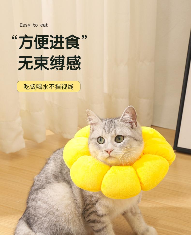 详情_06.jpg