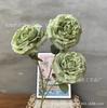 2024 Novo Seda Dourada Peônia Rosa Austin Espaço Interno Floricultura Suave Casamento Arranjo de Flores Adereços Flores Artificiais
