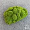 Césped de musgo artificial, decoración de pared de plantas para escaparates, micro paisajismo, césped aterciopelado, decoración suave para el hogar, plantas verde musgo