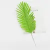 Suministro de Hojas Artificiales de Plantas Tropicales Estilo Minimalista y Hojas de Hierro para Accesorios de Fotografía y Fondos de Sesión, Descuentos al por Mayor