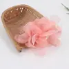 2025 Venta Caliente Amazonia Tocado de Plumas Accesorios para el Cabello de Novia Pasador de Malla Venta de Tocados para Mujer Especialmente Disponible en Muchos Países 1226