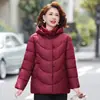 Jaqueta de Algodão de Inverno para Mãe com Mais de 60 Anos, com Forro de Lã e Estilo Engrossado, Novo Estilo de Inverno 2026, Casaco Grosso de Algodão para Mulheres de Meia-Idade e Idosas