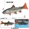 Modelos Realistas de Animales Marinos Transfronterizos: Tiburón Azul, Megalodón, Tiburón Ballena Gris, Tiburón Blanco, Tiburones Martillo Juguetes