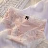 Ropa interior de encaje para mujer Nuevo estilo de verano fino Sexy para dama Seda de hielo Grado 10A Entrepierna antibacteriana Entrepierna de algodón puro Ropa interior para mujer