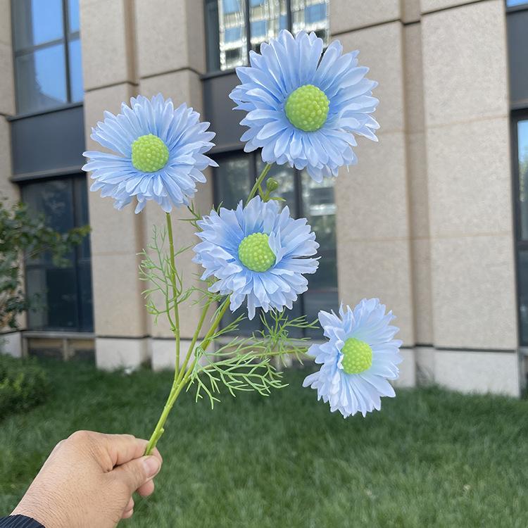 4头单支虫草花-sxwlx-天蓝.JPG