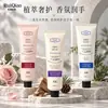 Ruiqiao Extrato de Planta Fragrância de Luxo Creme para Mãos Sândalo Cedro Rosa Creme para Mãos Outono e Inverno Fragrância de Longa Duração Fornecimento Direto da Fábrica