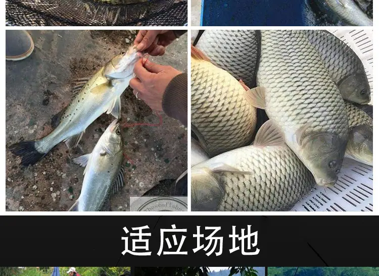 详情页_16.jpg