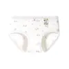 Ropa Interior de Algodón Puro para Niñas 10A, Entrepierna Antibacteriana, Amigable con la Piel, Transpirable, Cintura Media, Ajustada a la Cadera, Elástica, Estampado Dulce, Calzones de Algodón para Mujer